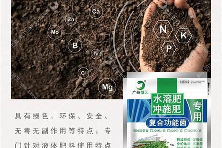 生物菌冲施肥中常用的生物菌都有哪些