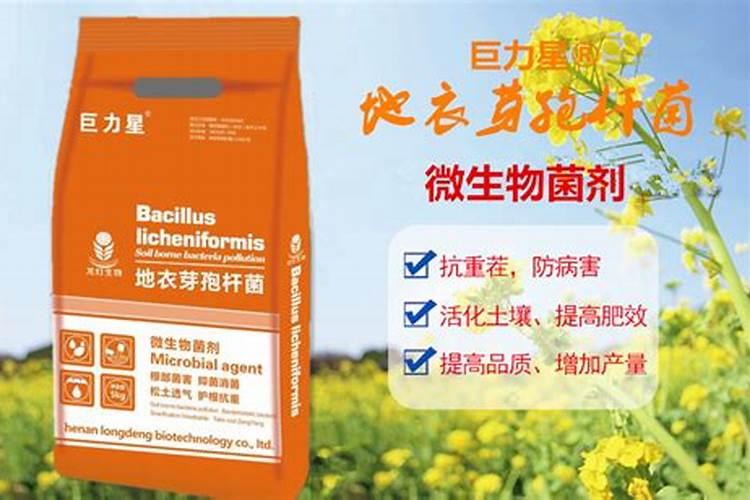 微生物菌剂怎么用？微生物菌剂的使用方法及注意事项