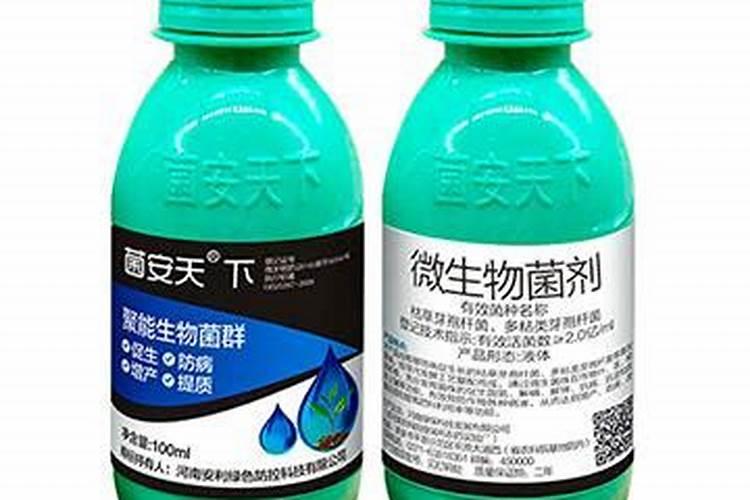荷兰豆菌安天下微生物菌剂