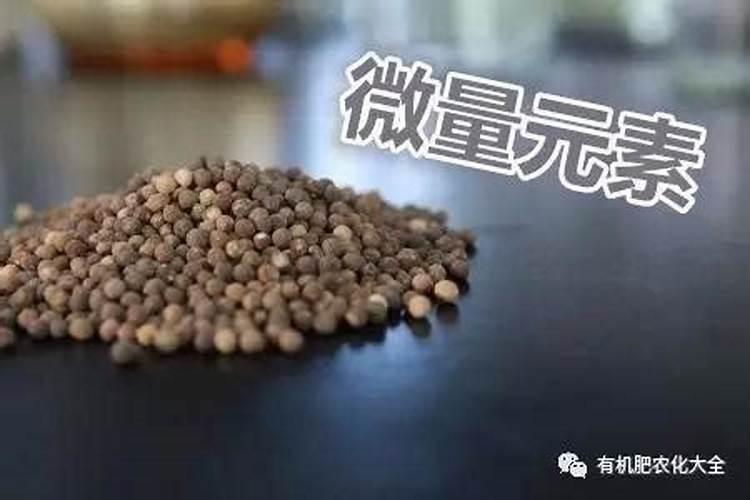 无花果微量元素肥料是指哪些肥料含量高？