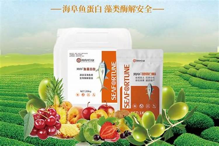 鱼蛋白肥料在果树上的效果吴忠沙糖橘？