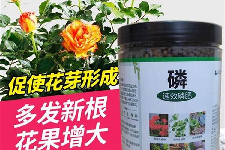 花卉氮磷钾肥的作用