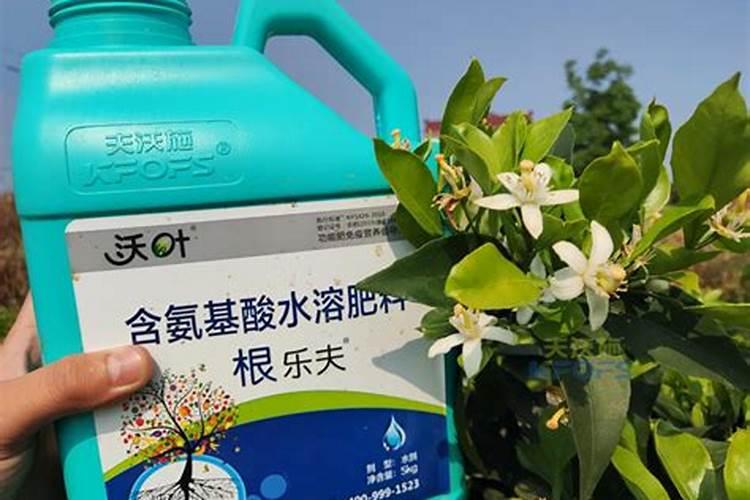 木槿最大的水溶肥厂家是哪家公司的？