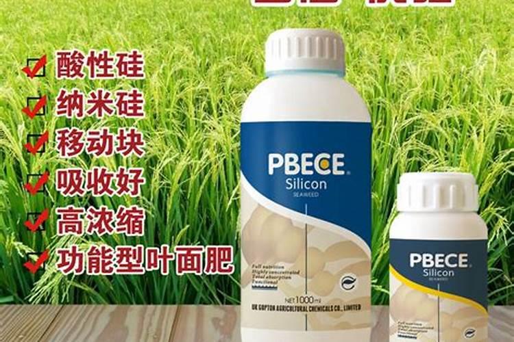 水溶肥工厂批发