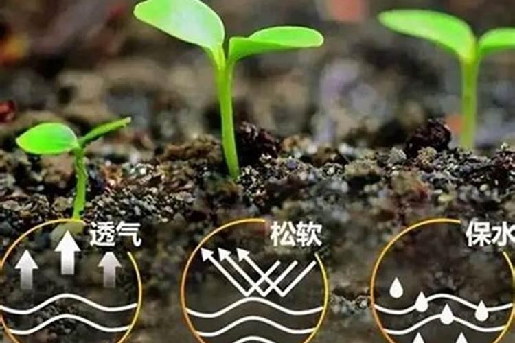 生物有机肥属于化肥吗？