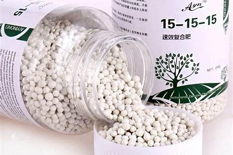 缓释肥怎么用在多肉里2025？