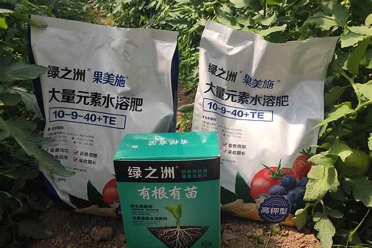 水溶肥厂家在哪里找货源知乎灯塔？