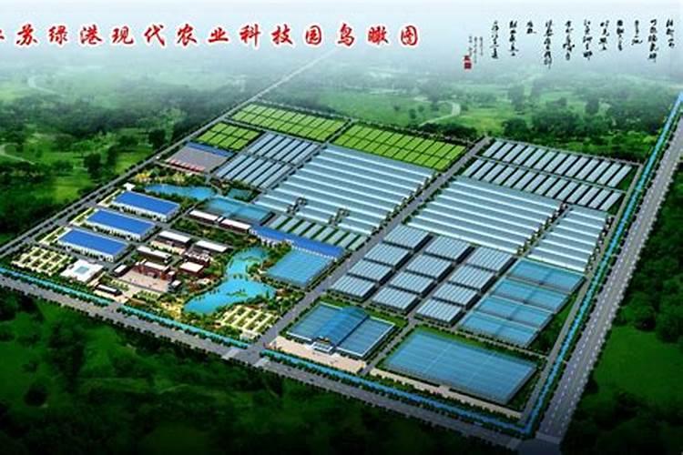 安丘胜邦现代农业科技有限公司怎么样？