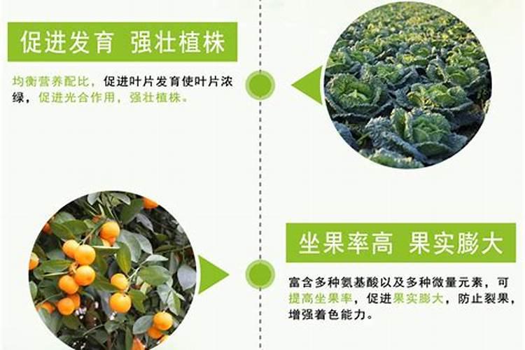 微生物肥料的主要功能2025