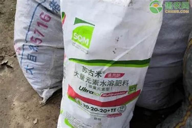 自制水溶叶面肥:清水30斤需用多少红糖和发酵粉