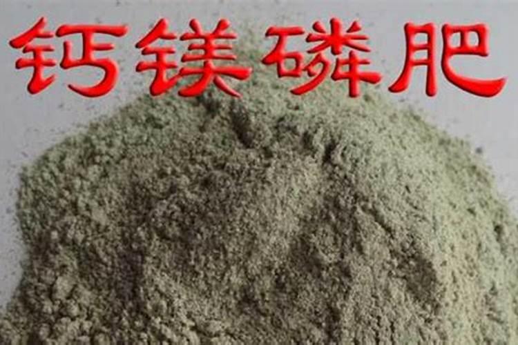 钙镁磷肥有什么作用与功效禁忌驻马店多肉？