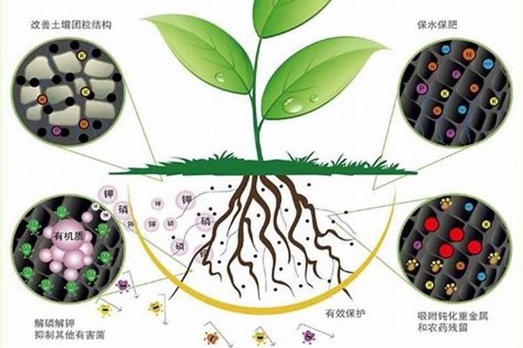 微生物肥料的应用范围是什么南方？