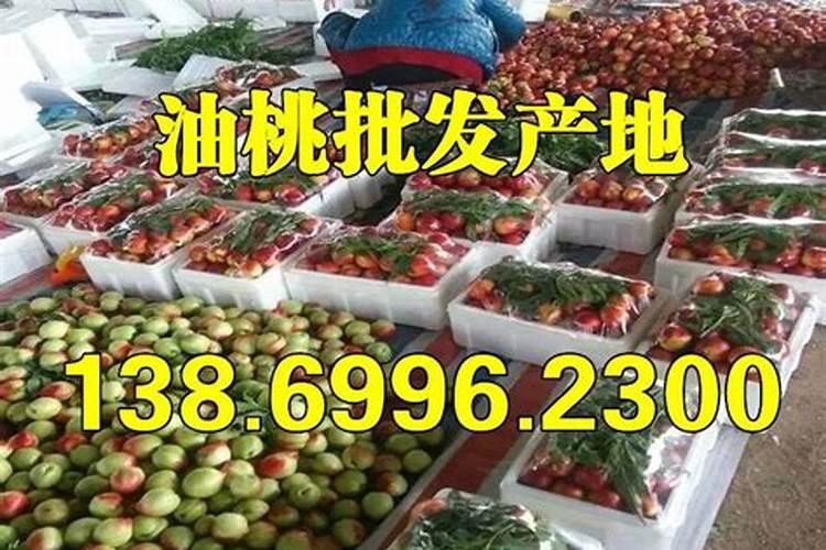 化肥厂家在哪里进货桃子？
