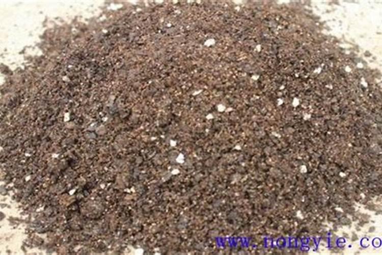 羊粪怎么发酵才可以当肥料