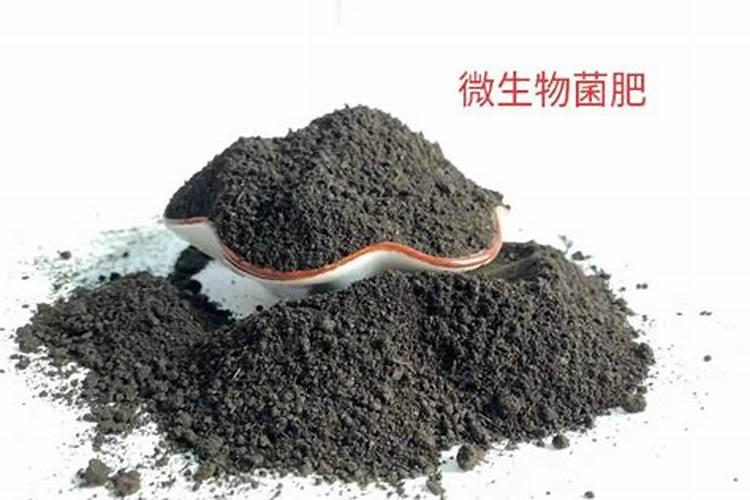 生物肥料的简介