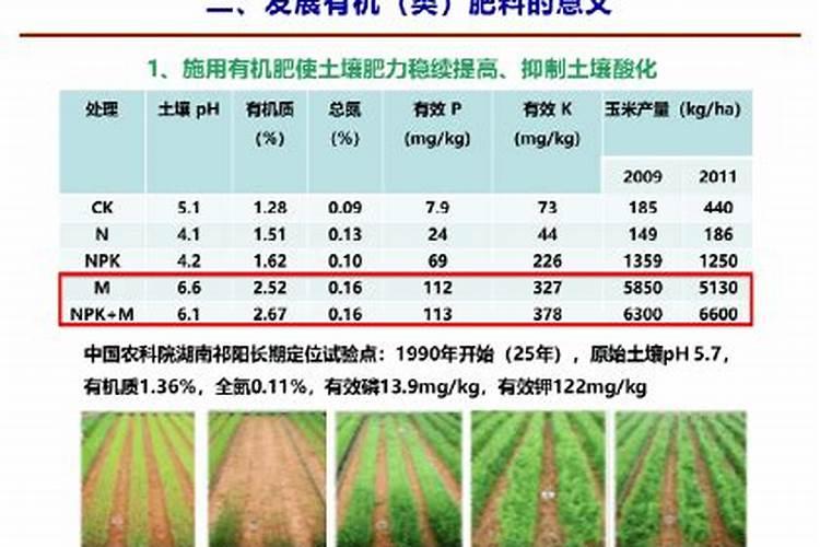 微生物肥料有哪些分类2025？