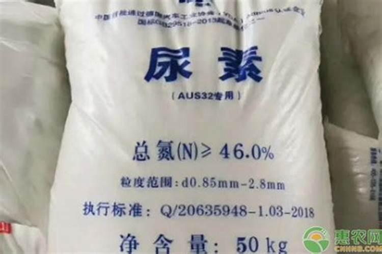 化肥尿素生产厂家有哪些燕麦？
