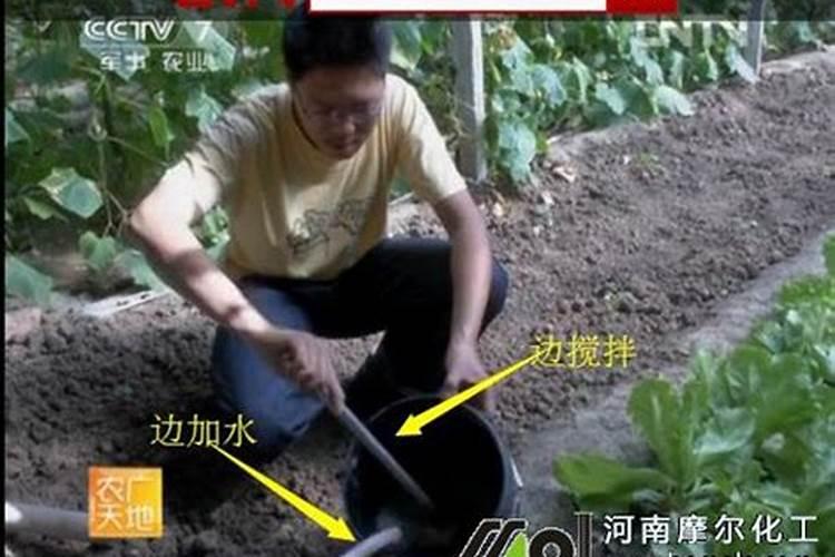 水溶肥一般稀释多少倍？