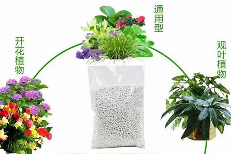 养花需要准备哪些肥料,养花肥料的正确使用方法