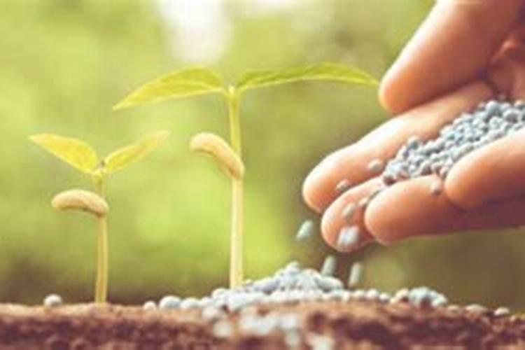 复合肥料的作用与功效和作用2025