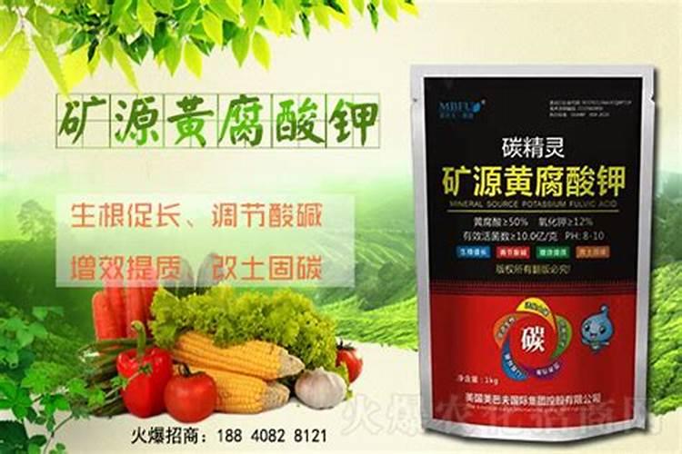 草莓矿源黄腐酸钾施肥方法及用量双城鸡毛菜？
