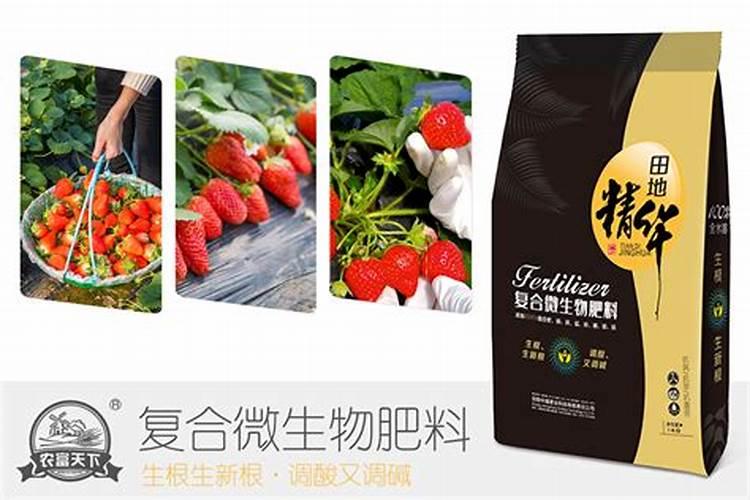 连云港2025微生物肥料有哪些优点？