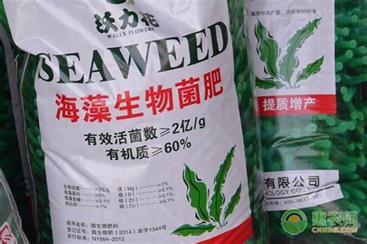2025绿植叶面肥有哪些种类？