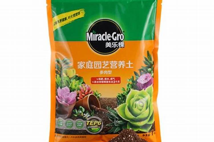 多肉缓释肥哪个牌子好？