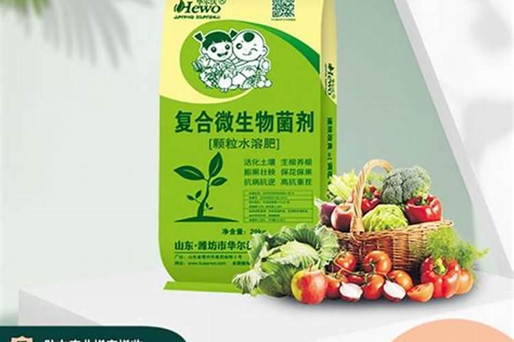 复合微生物菌剂是农药吗怎么用武威青花菜？