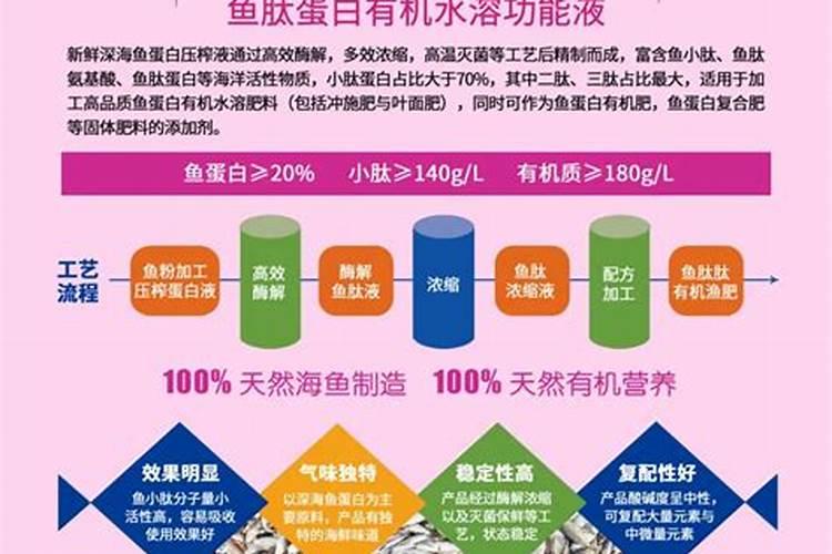 2025桂花树鱼蛋白肥料种的菜