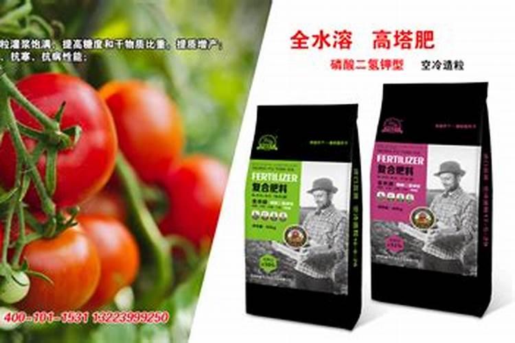 番茄正宗硫酸钾复合肥厂家在哪里有2025？