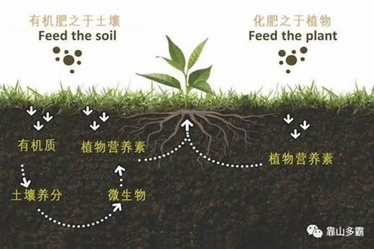 微生物菌种生物有机肥的优点