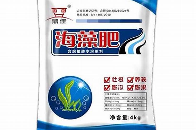 黑龙江海藻肥制作