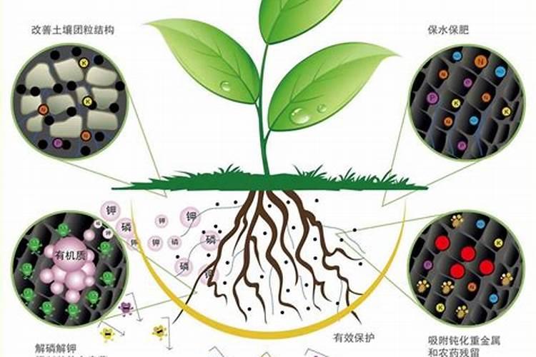 微生物菌肥在生产中应用注意事项有哪些？