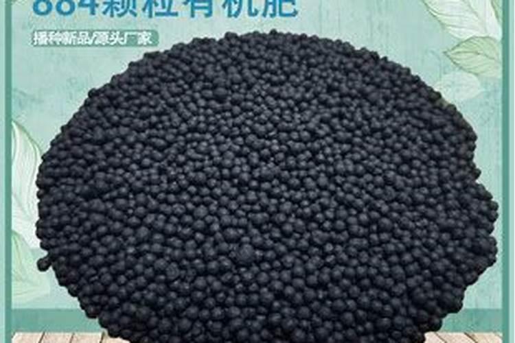 微生物菌肥颗粒批发恩施