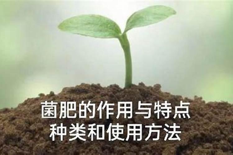 微生物菌肥的正确使用方法种花？