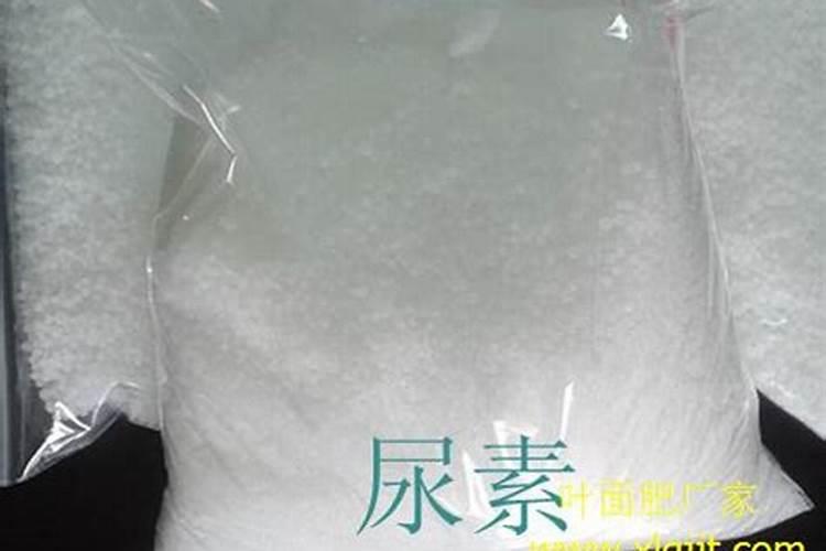 请问大神尿素可以当叶面肥使吗？怎么用？