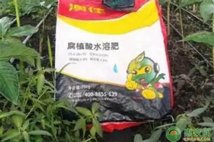 绥化腐植酸水溶肥的价格