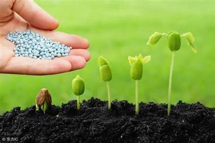2025什么是生物肥料,有哪些特点？