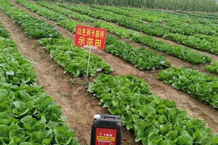 泰兴鱼蛋白肥料哪个品牌好些？