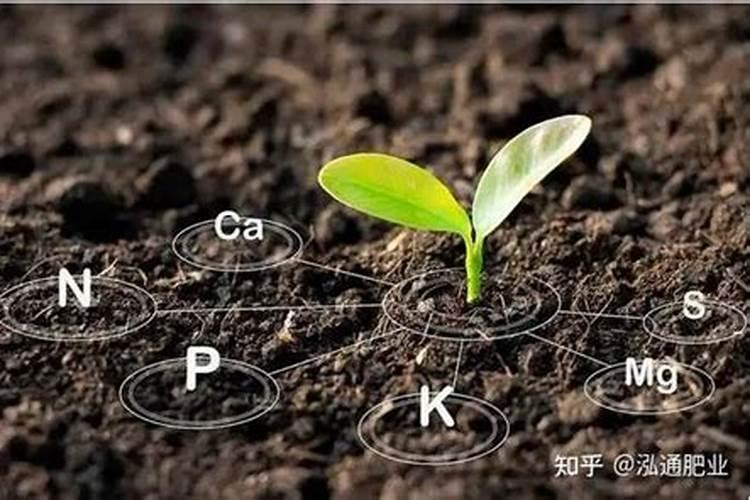 复混肥料是指肥料中含有的2025