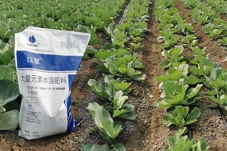 水溶肥与复合肥同时冲施效果怎样