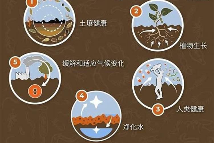 生物肥怎么使用效果好赤霉素？