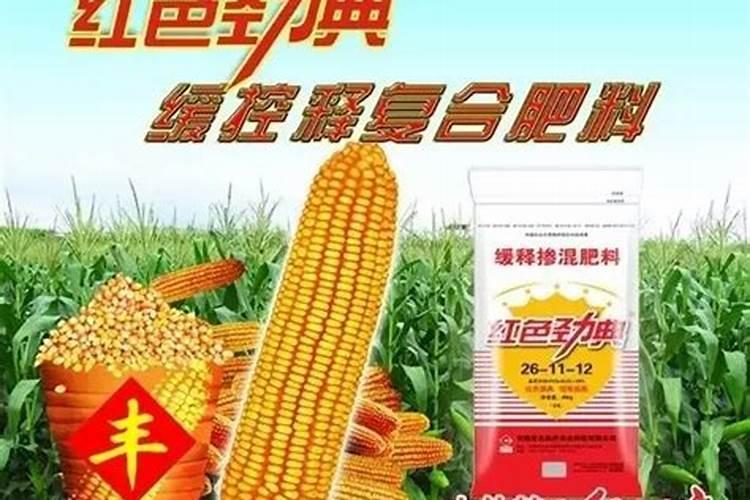 中化玉米专用控释肥多少钱一袋