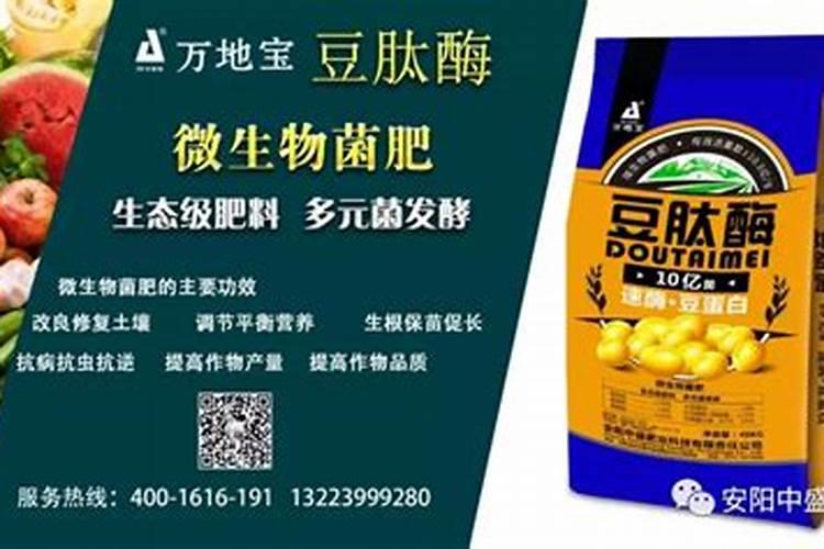 西藏目前使用最多的菌肥