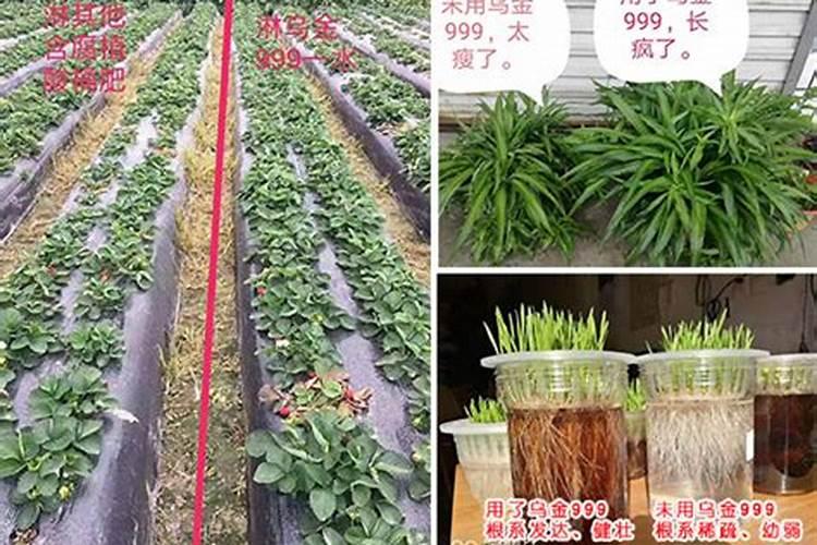 矿源黄腐酸钾怎么用效果好？