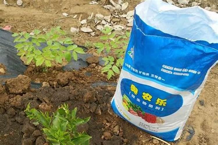 生物菌肥到底有什么优势