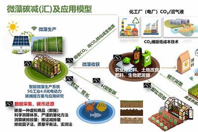 生物菌的应用与前景