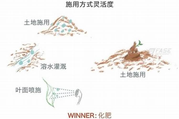 生物肥的演变沿革