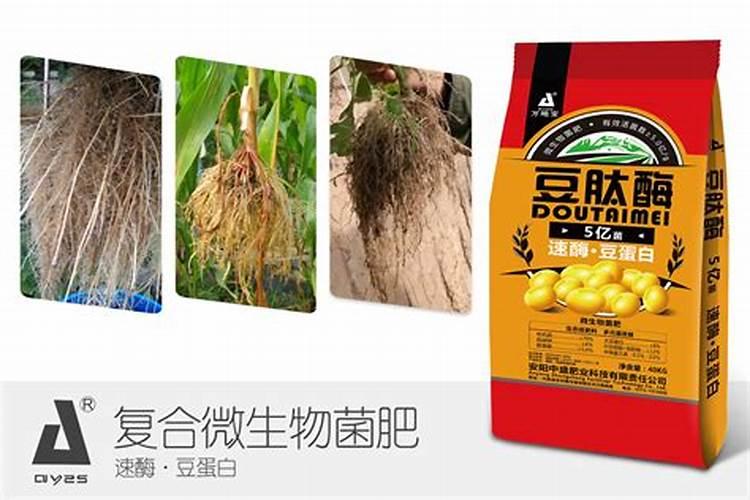生物菌肥作用有哪些